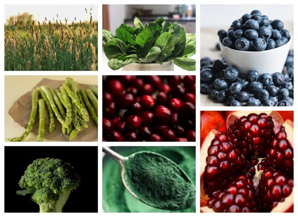 8 powerful antioxidant-rich superfoods for weight loss, metabolism boost, and overall health, including barley grass, spinach, blueberries, and more.